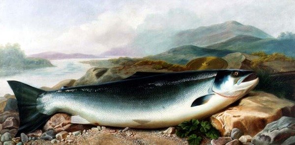 Dağlık Bir Peyzajda Nehir Kıyısında Bir Somon Natürmort by John Russell