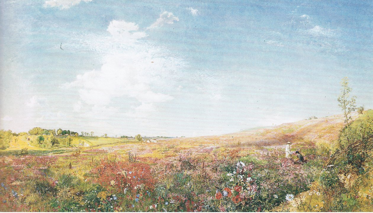Yaz manzarası by John Samuel Raven