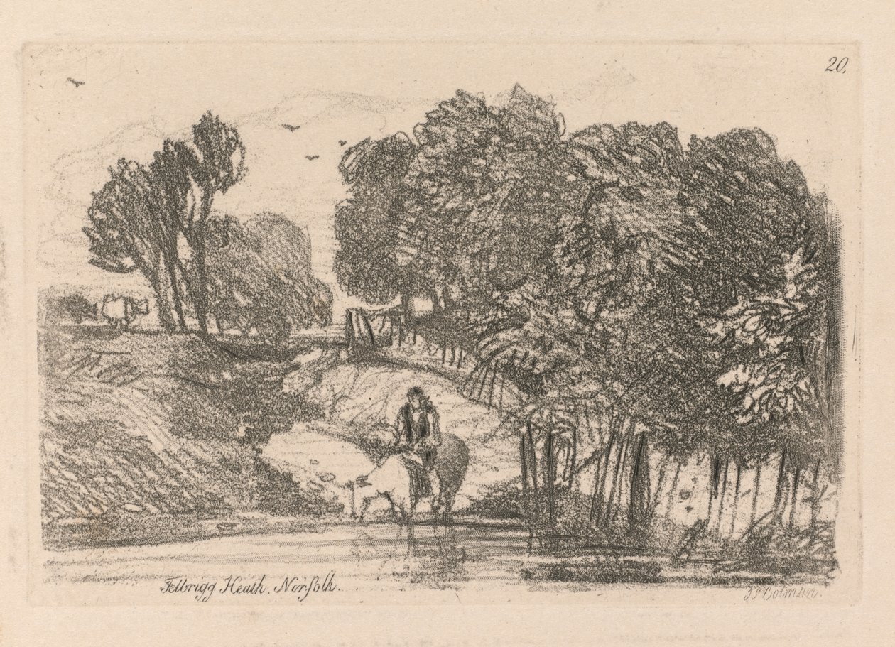 Liber Studiorum: Plaka 20, Felbrigg Heath, Norfolk by John Sell Cotman
