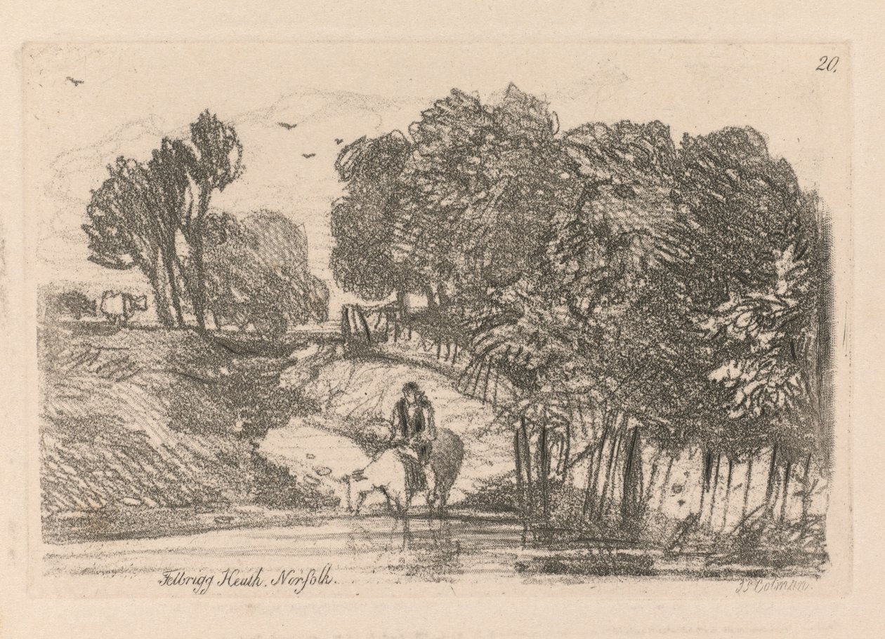 Liber Studiorum: Levha 20, Felbrigg Heath, Norfolk, 1838 by John Sell Cotman