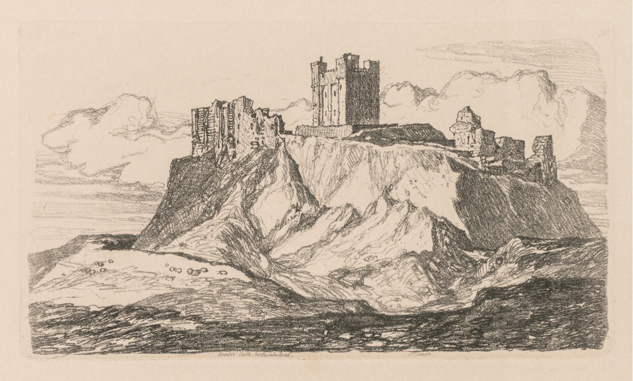 Çalışma Kitabı: Plate 30, Bambro