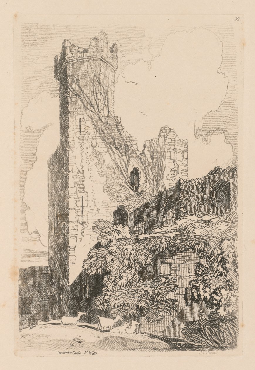 Liber Studiorum: Plaka 32, Caernarvon Kalesi, K. Galler, 1838 by John Sell Cotman