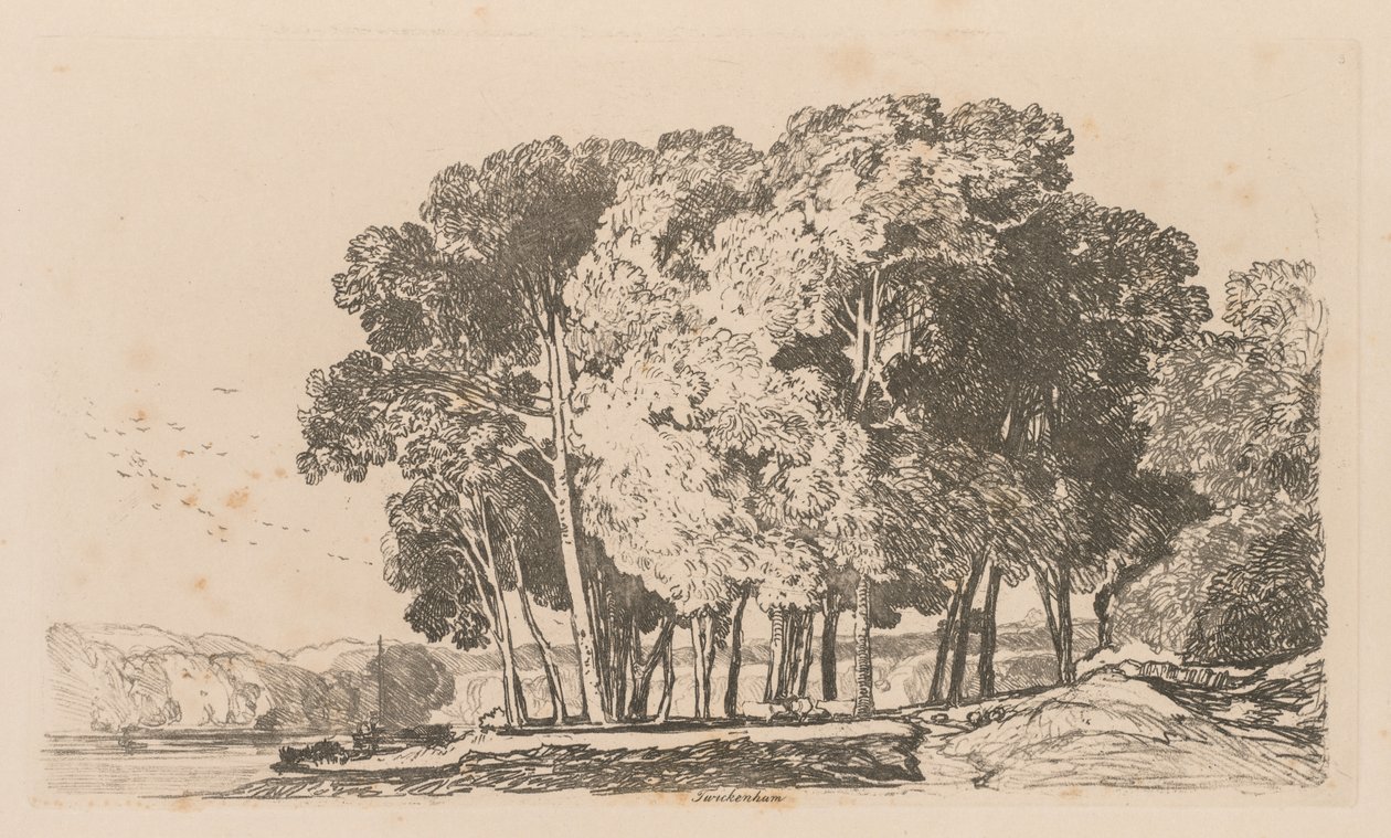 Liber Studiorum: Plaka 3, Twickenham yakınlarındaki Ağaçlar by John Sell Cotman