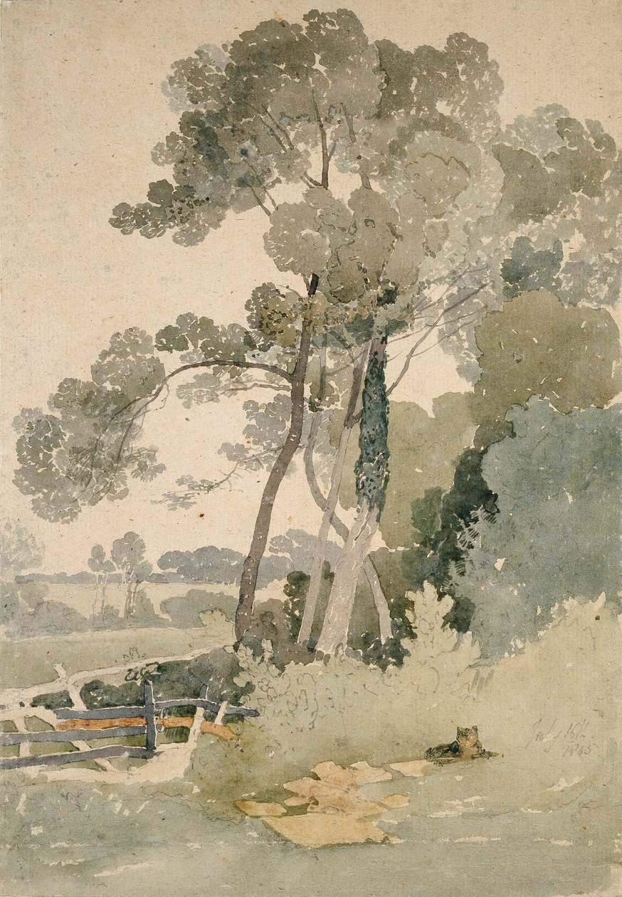 Brandsby yakınlarında, Yorkshire, 1865 by John Sell Cotman