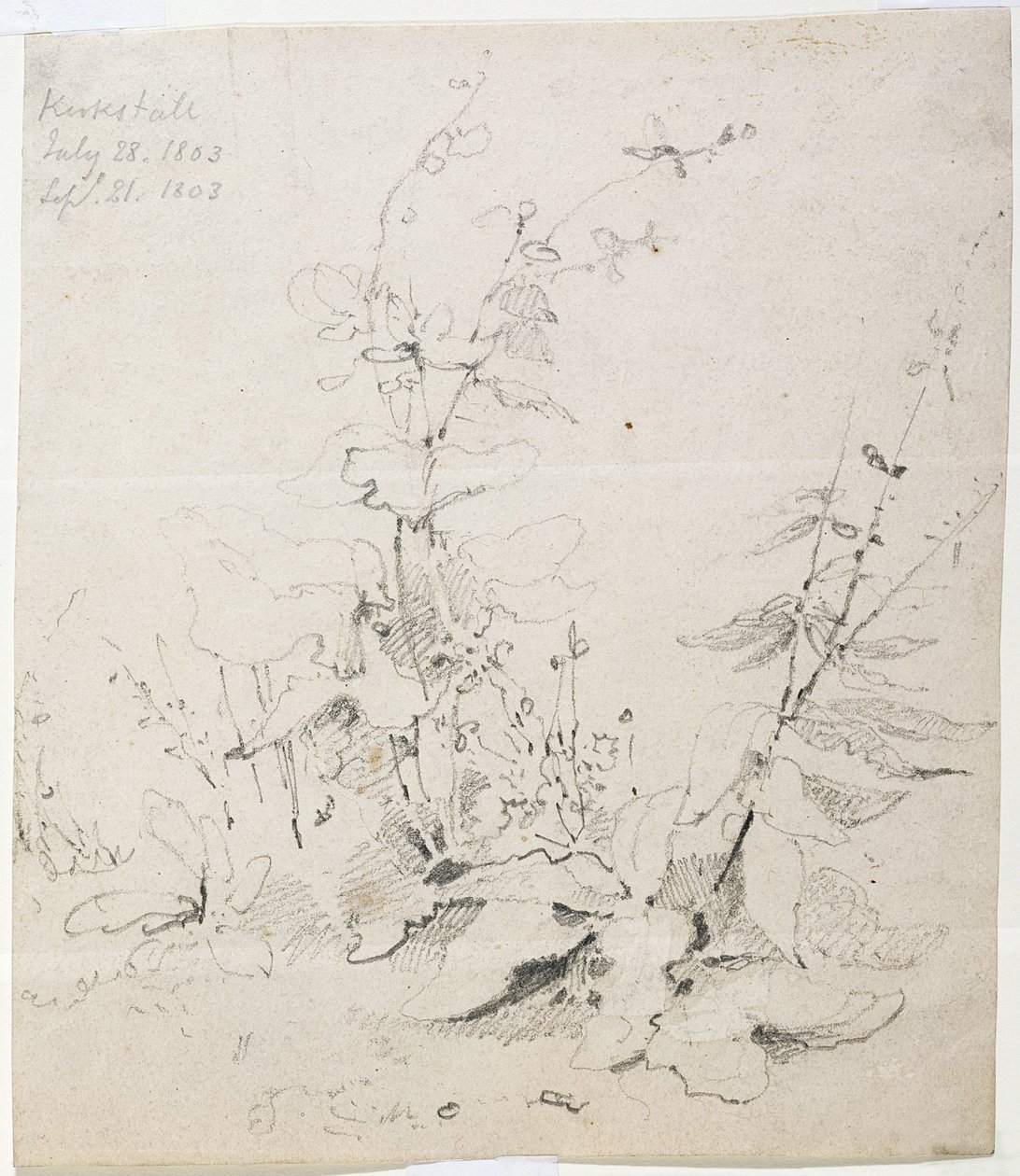 Yabani Otların Çalışması, Kirkstall by John Sell Cotman