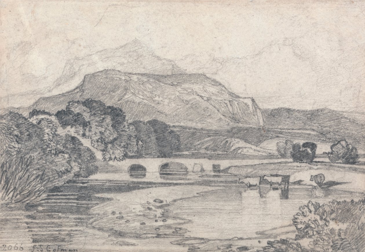 Tan-y-Bwlch, Kuzey Galler by John Sell Cotman