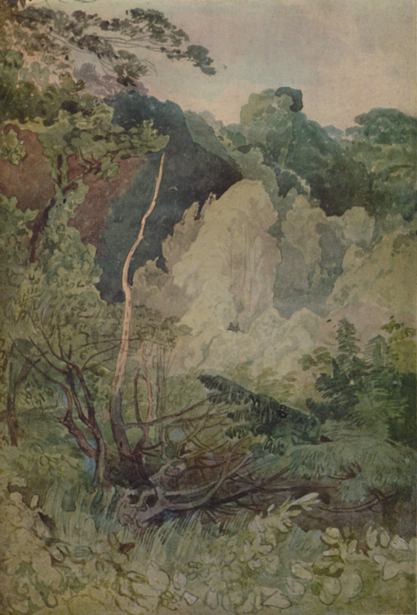 Greta Nehri Yakınındaki Ağaçlar, 1923 by John Sell Cotman