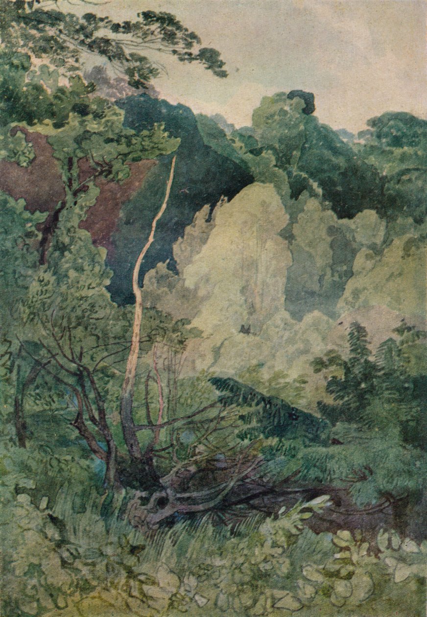 Great River yakınlarındaki ağaçlar, 19. yüzyıl by John Sell Cotman
