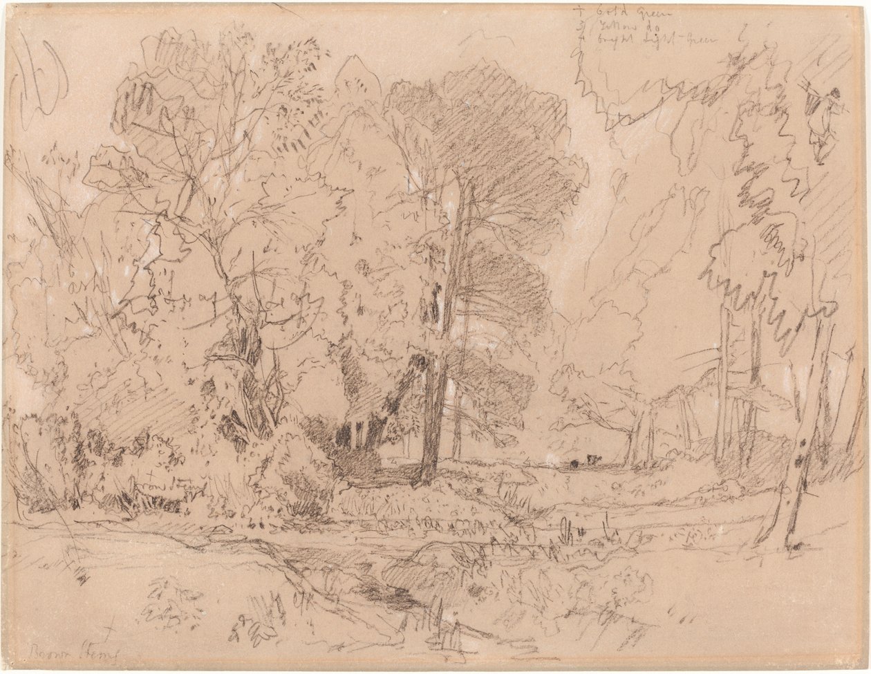 Ormanlık Peyzaj by John Sell Cotman
