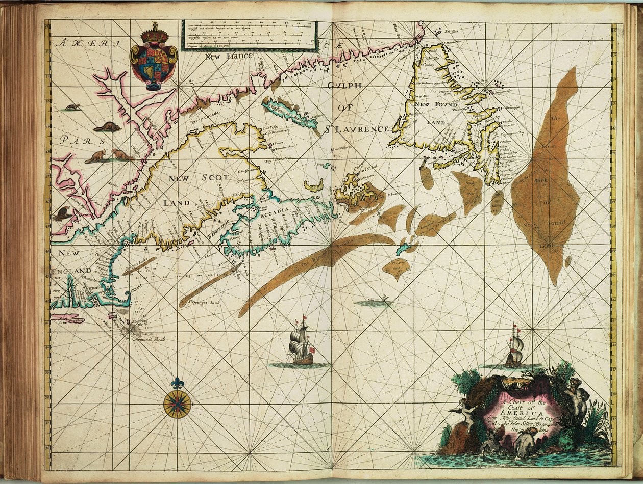 Newfoundland