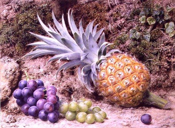 Yosunlu Bir Bankada Bir Ananas ve Bir Salkım Üzüm by John Sherrin