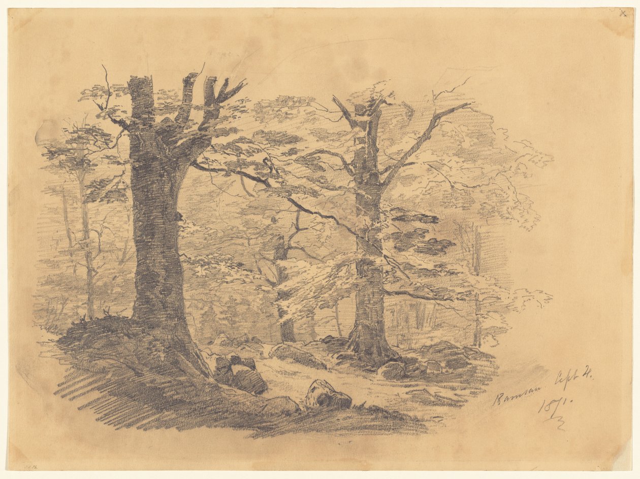 Orman, Ramsau, Almanya, 1871. by John Singer Sargent