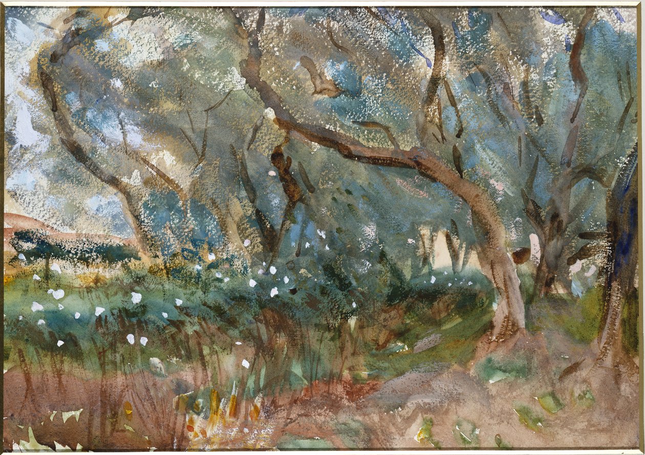 Manzara, Korfu, 1909 by John Singer Sargent