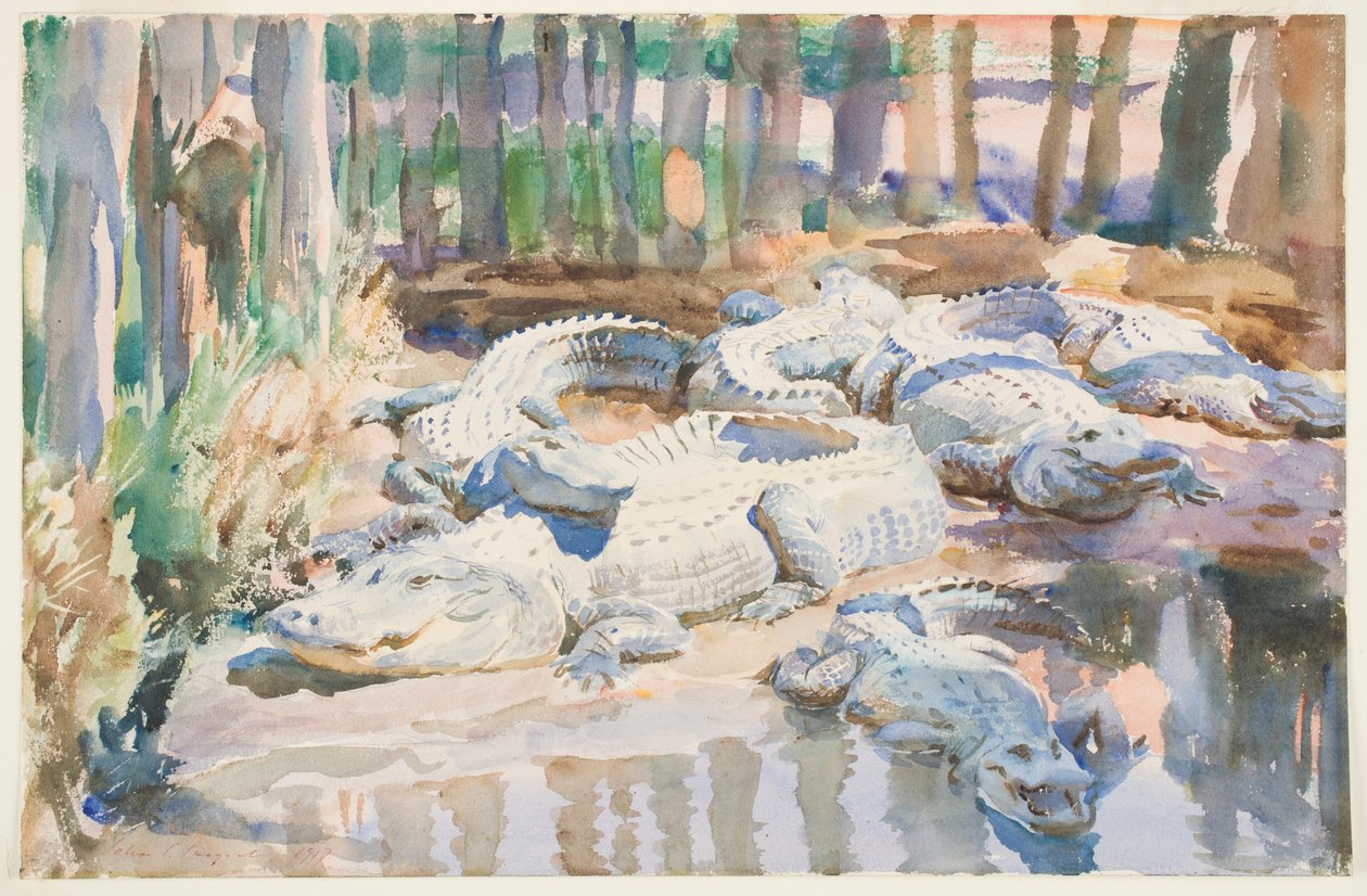 Muddy Timsahlar, 1917 (kağıt üzerinde grafit üzerinde wc) by John Singer Sargent
