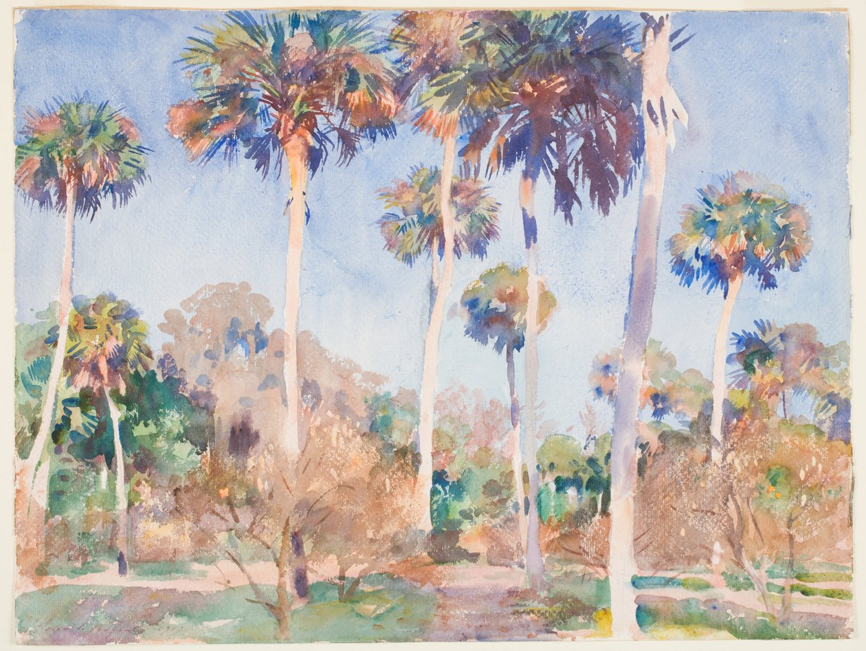 Palms, 1917 (kağıt üzerinde grafit üzerinde wc) by John Singer Sargent