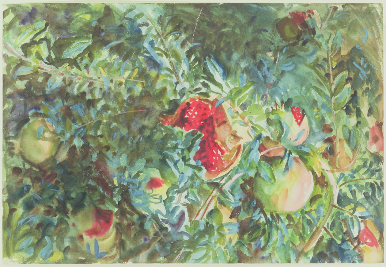 Nar, 1908 (kağıt üzerine kurşun kalem üzeri wc) by John Singer Sargent