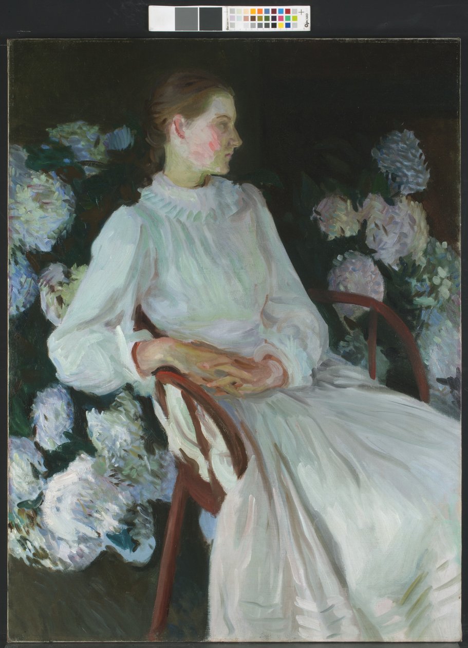 Katharine Chase Shapleigh