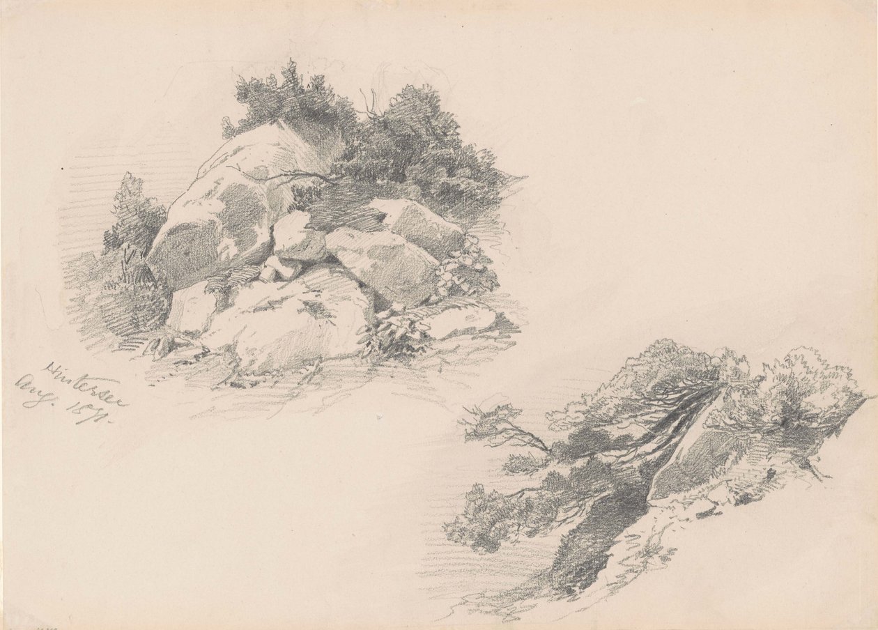 Rocks and Brush, Hintersee, Almanya, 1871 (duvar kağıdı üzerinde grafit) by John Singer Sargent