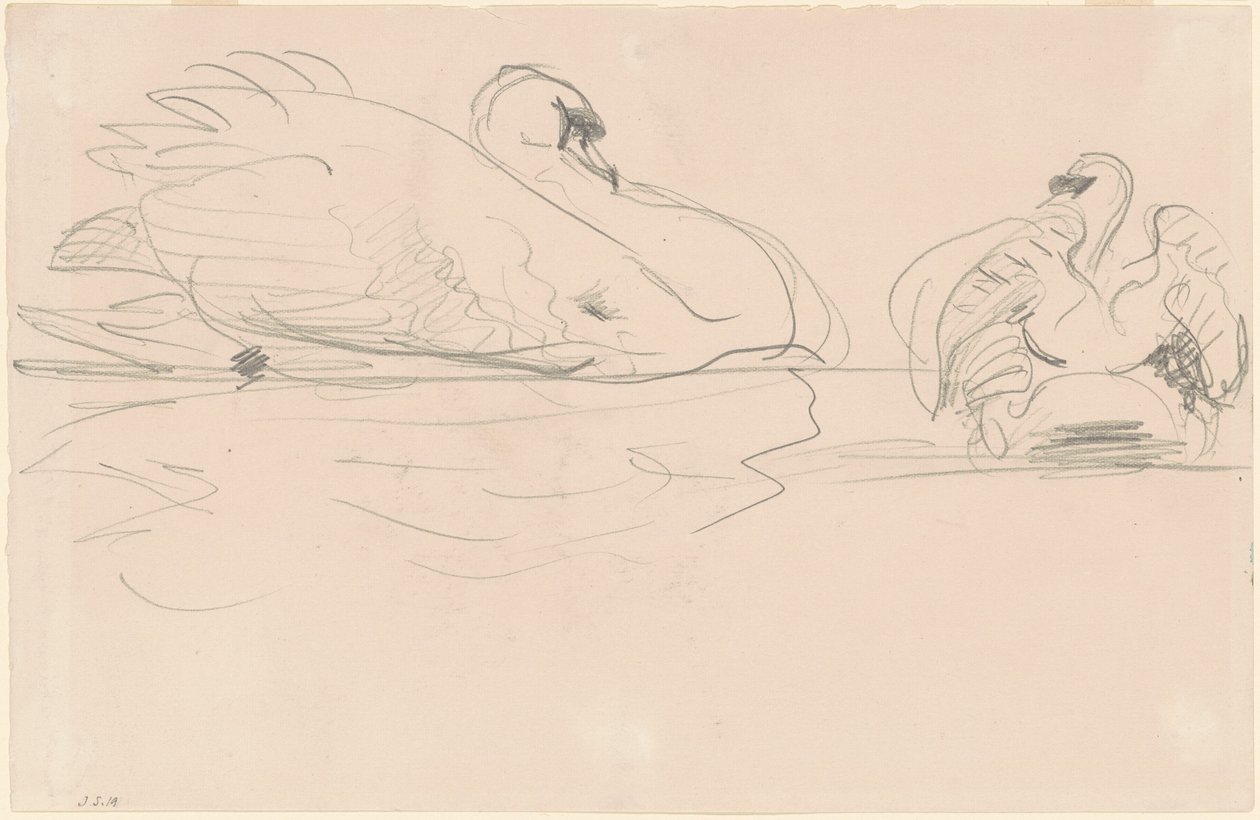 Sudaki Kuğular by John Singer Sargent