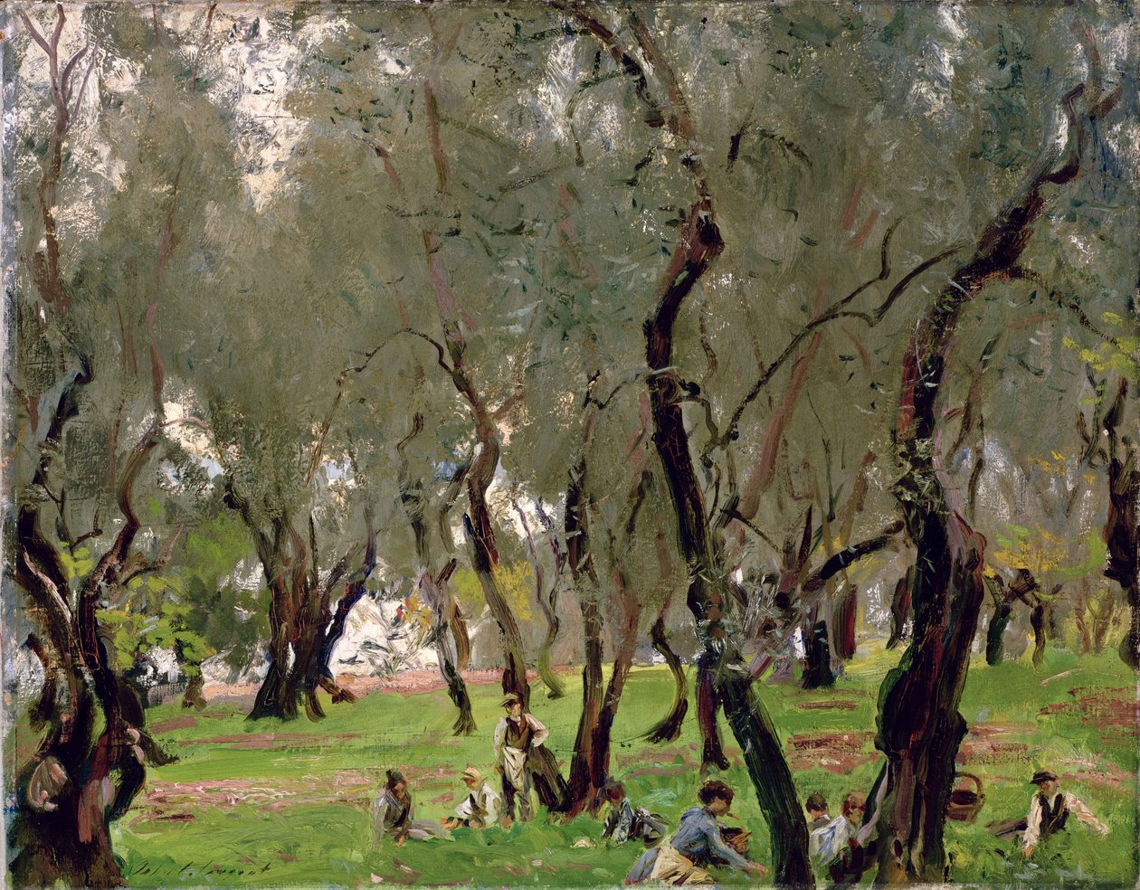 The Olive Grove, 1910 dolayları (tuval üzerine yağlıboya) by John Singer Sargent