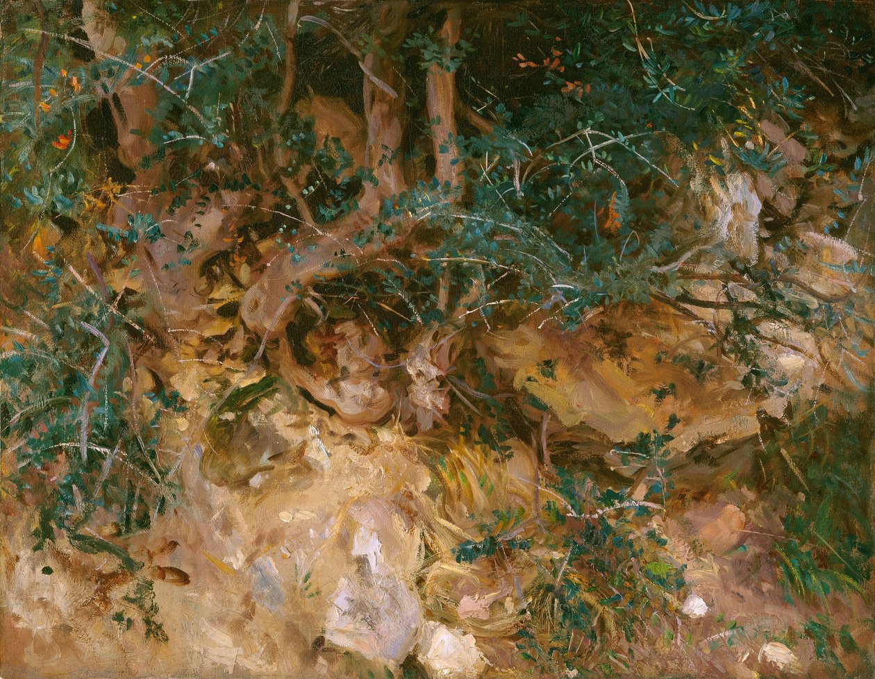 Valdemosa, Mayorka: Bir Yamaçta Devedikeni ve Ot, 1908. by John Singer Sargent