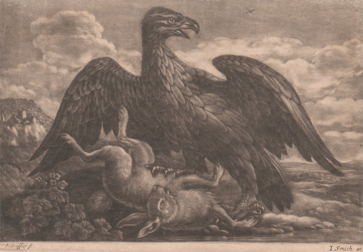 kartal ve tavşan by John Smith
