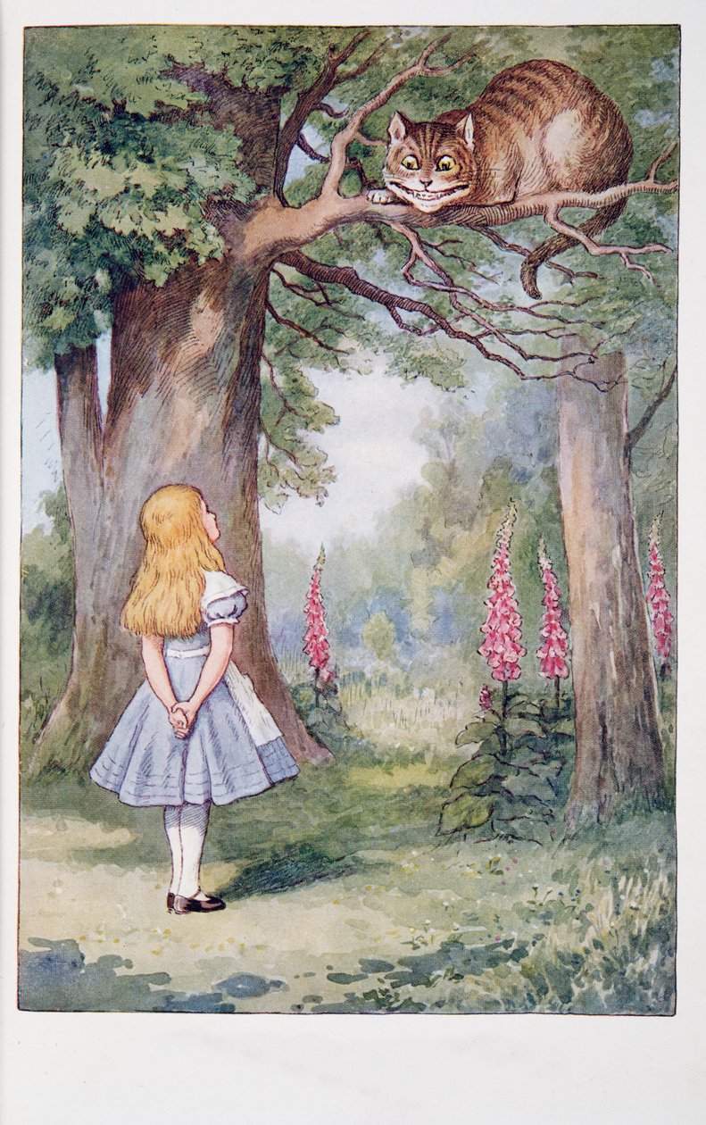 Alice ve Cheshire Kedisi, Alice Harikalar Diyarında Ve Aynanın İçinden Alice