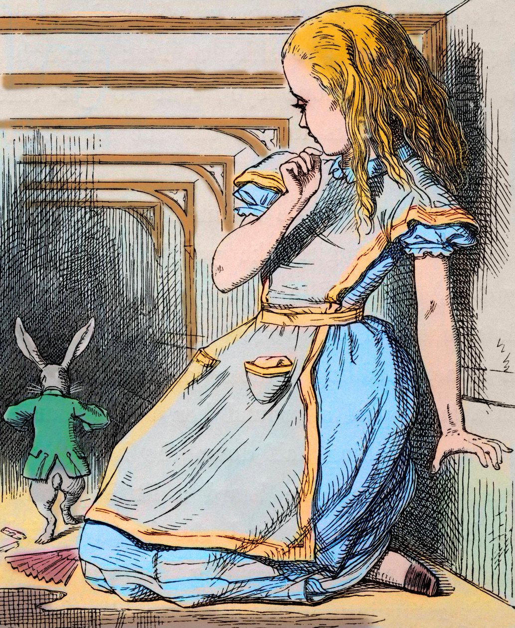 Alice ve Beyaz Tavşan. Lewis Carroll