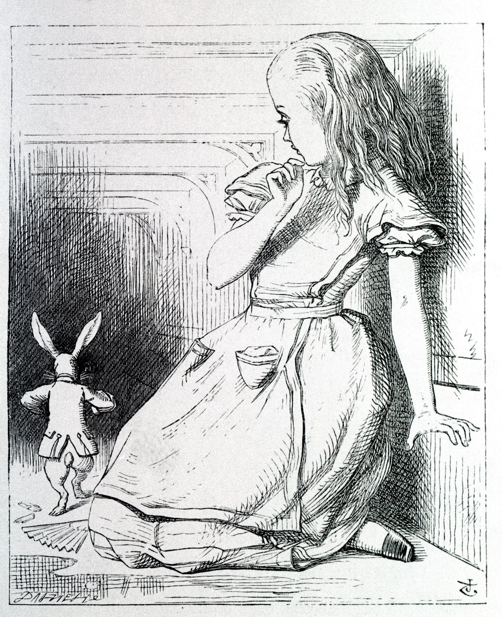 Alice et le tavşan - Lewis Carroll