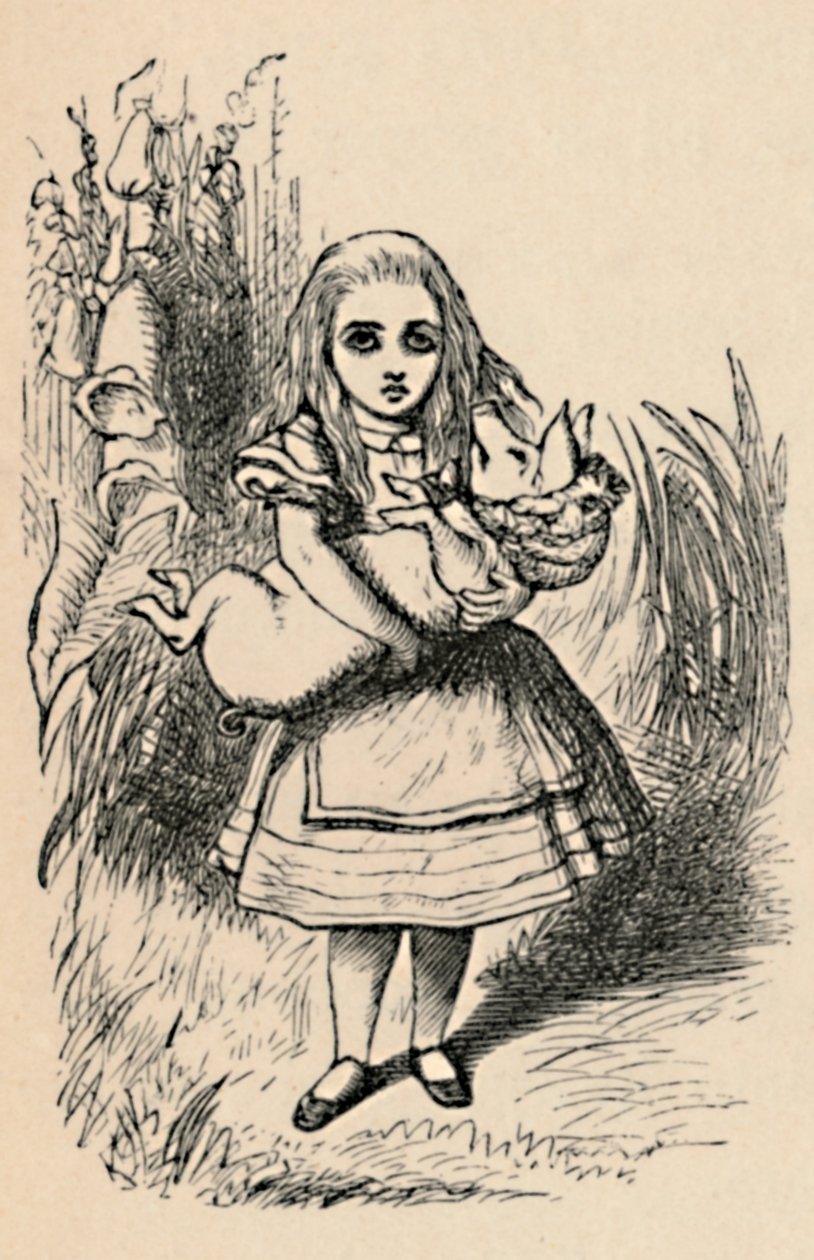 Alice, kollarında bir domuz tutuyor, 1889 by John Tenniel