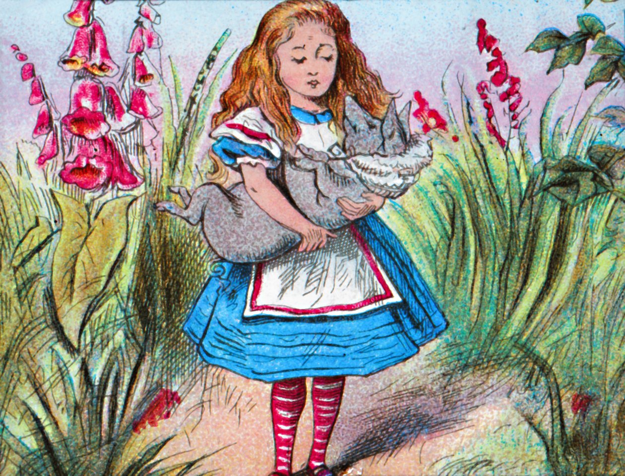 Alice, kollarında bir domuz tutuyor., c1910. by John Tenniel