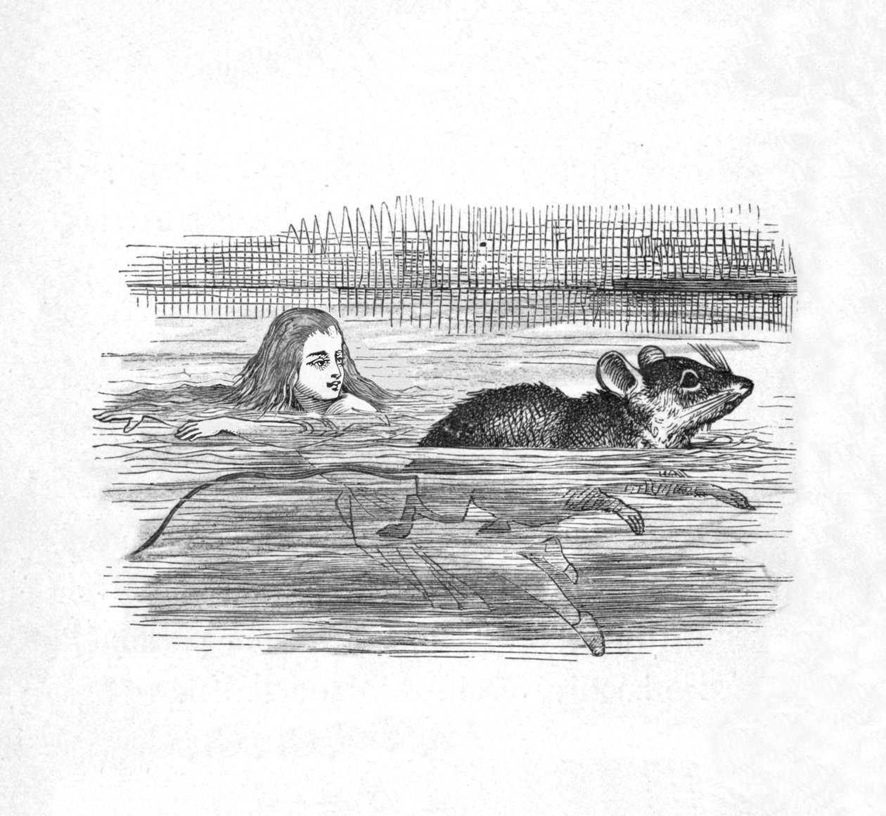 Alice havuzda fareyle yüzerken, 1889 by John Tenniel