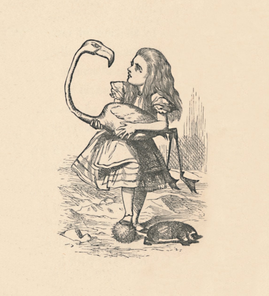 Alice, flamingo ile tokmak gibi kroket oynamaya çalışıyor, 1889 by John Tenniel