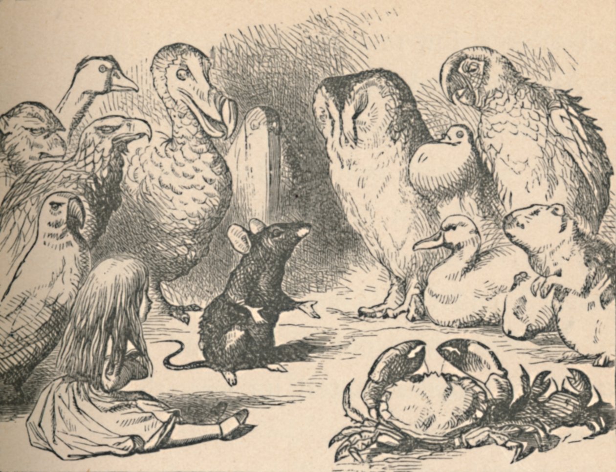 Bir Kafkas Yarışı ve uzun bir kuyruk bölümü için çizim. Alice ve çeşitli yaratıklar gibi by John Tenniel