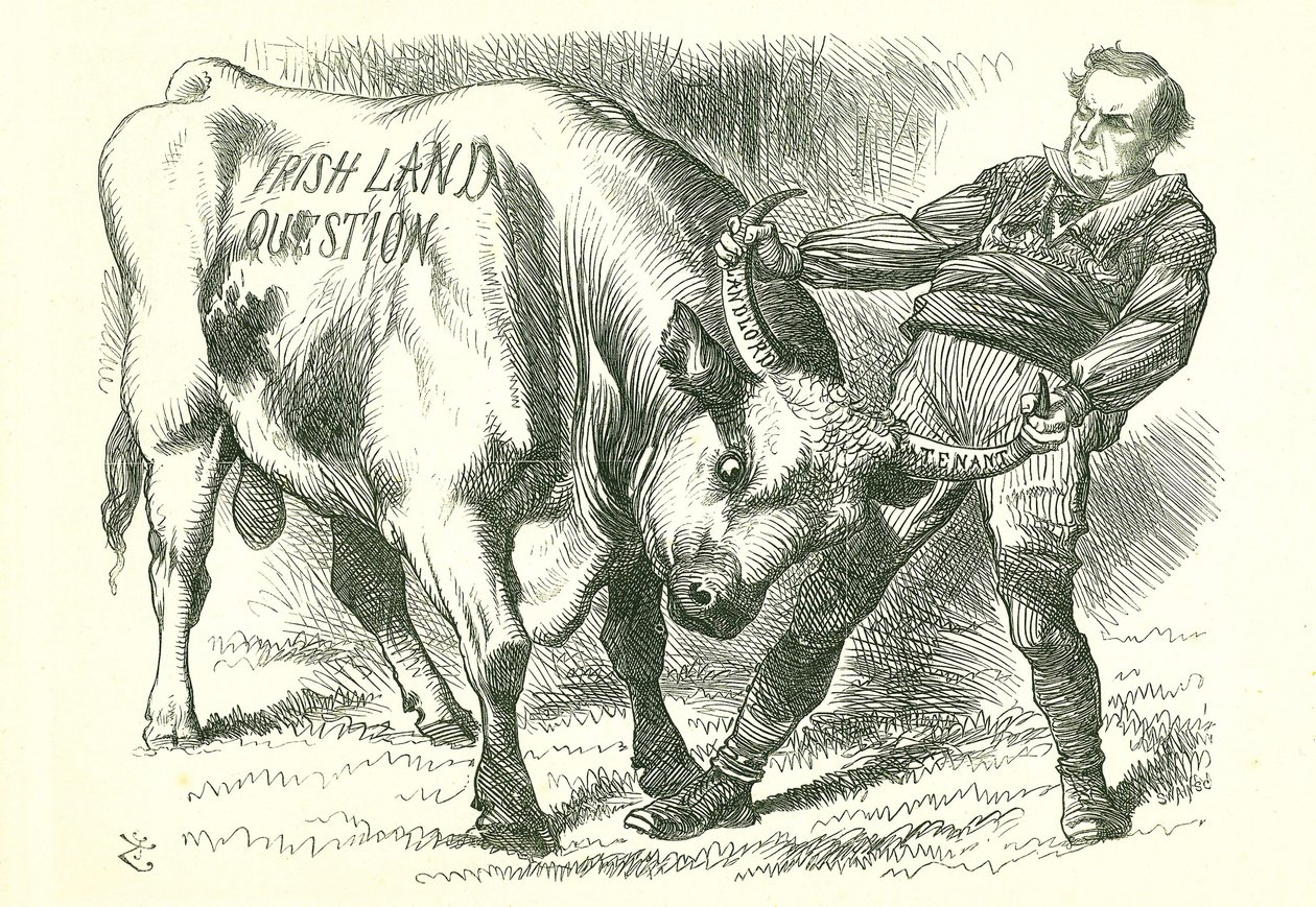 (İrlandalı) Boğayı Boynuzlarından Almak: Tasarı 15 Şubat 1870