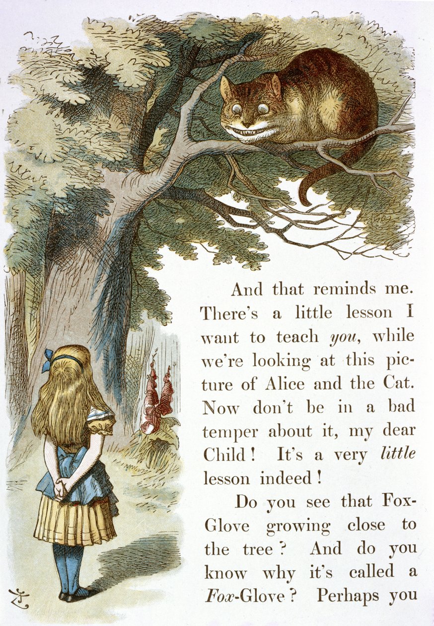 Chesire kedisi by John Tenniel