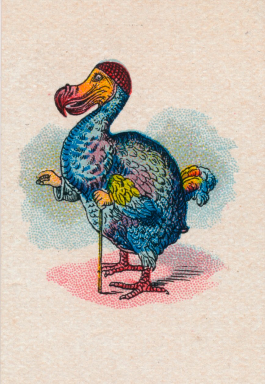 Dodo, 1930 by John Tenniel
