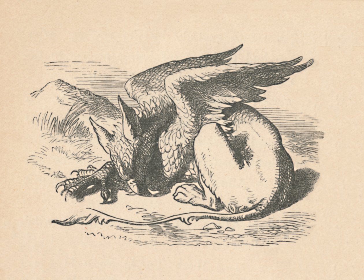Grifon güneşte uyuyor, 1889 by John Tenniel