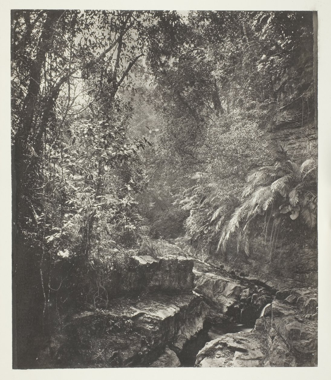  by John Thomson