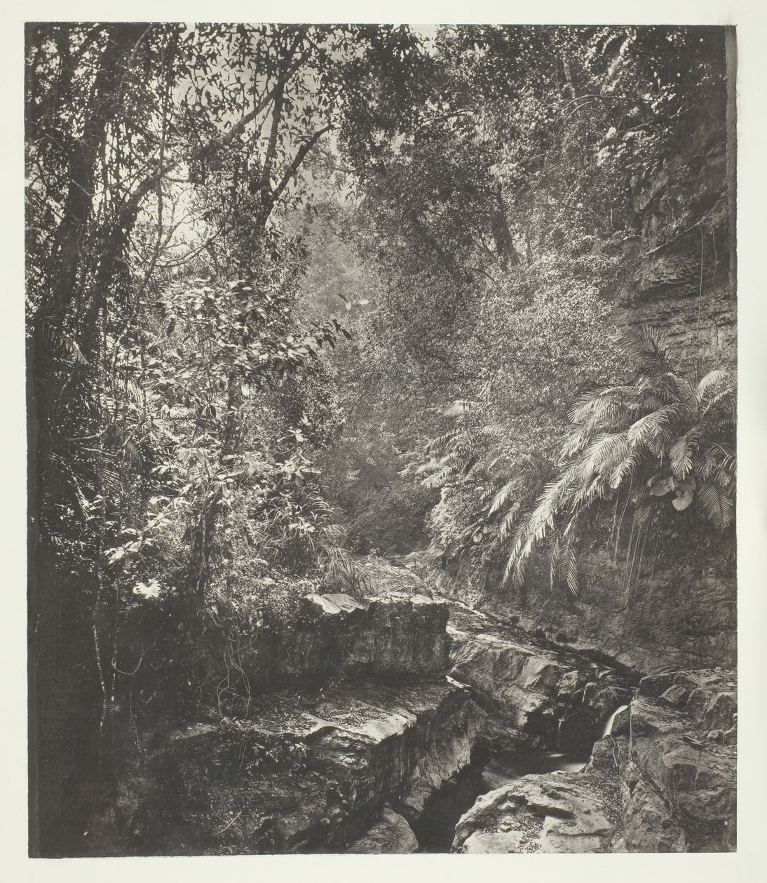 Formosa