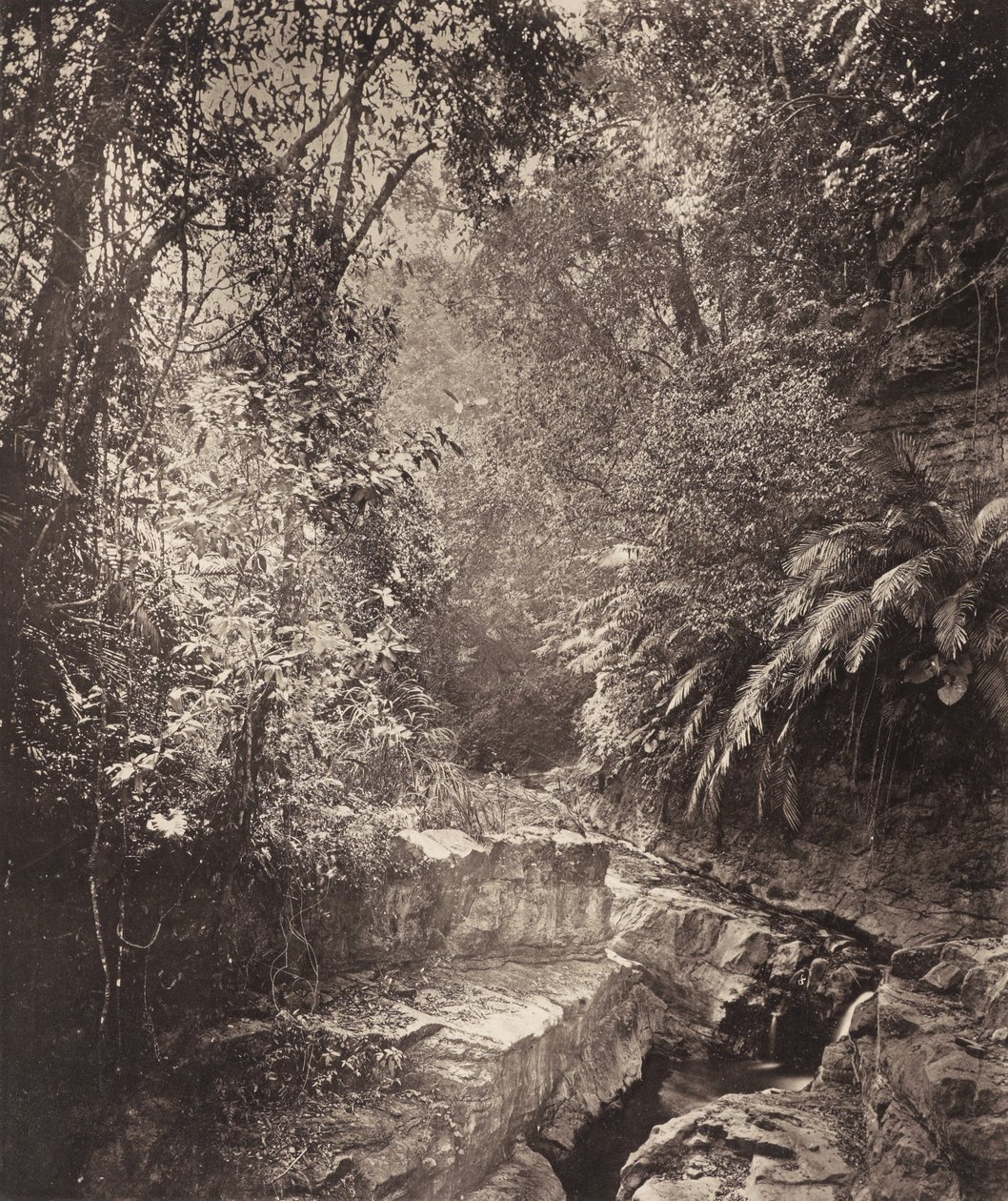  by John Thomson