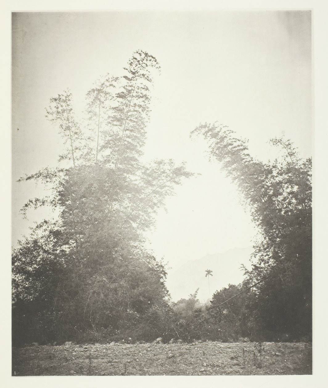 Bombalar çok kutular, çiftlikler, ne. 16. by John Thomson