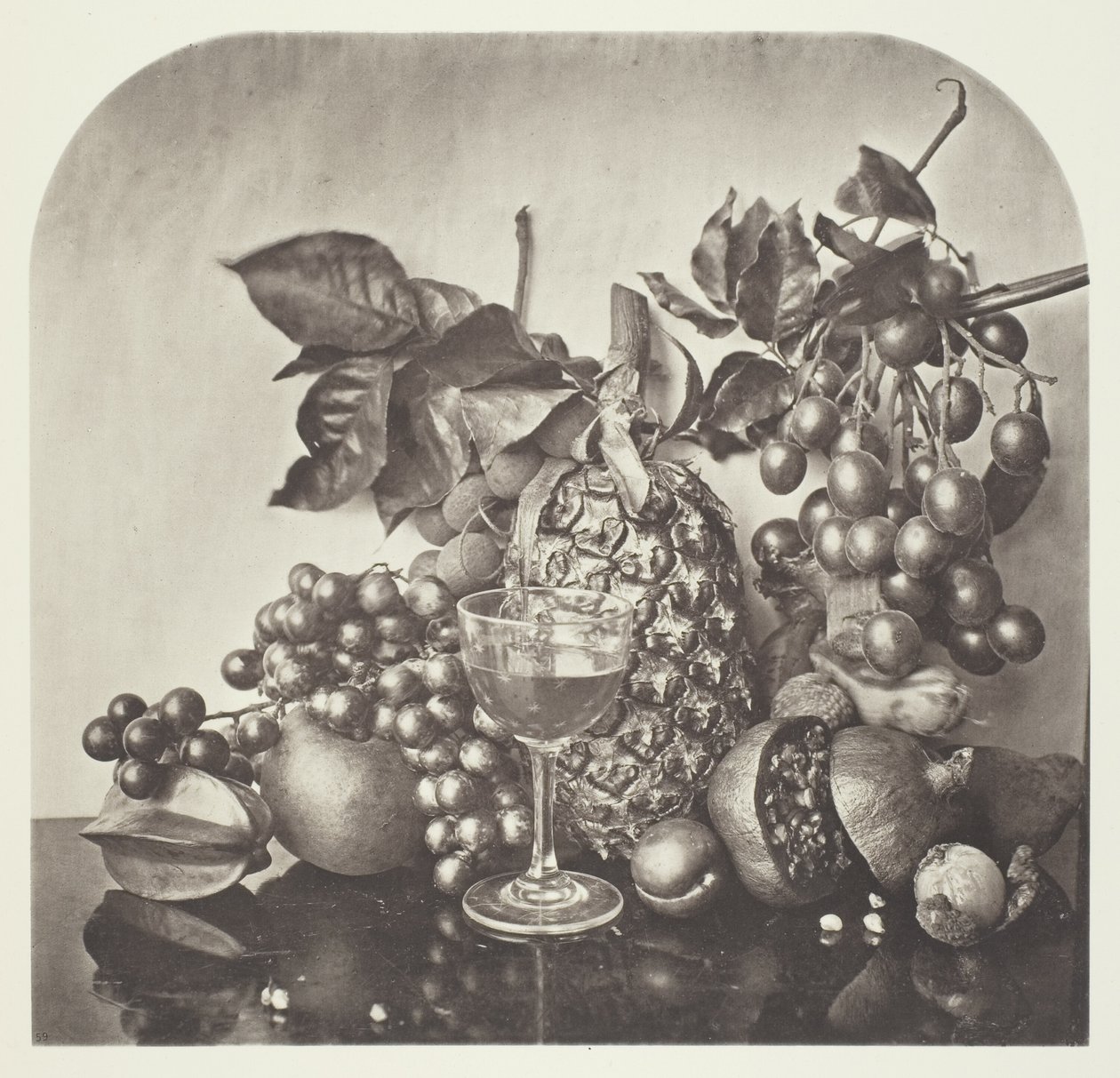 Meyve by John Thomson