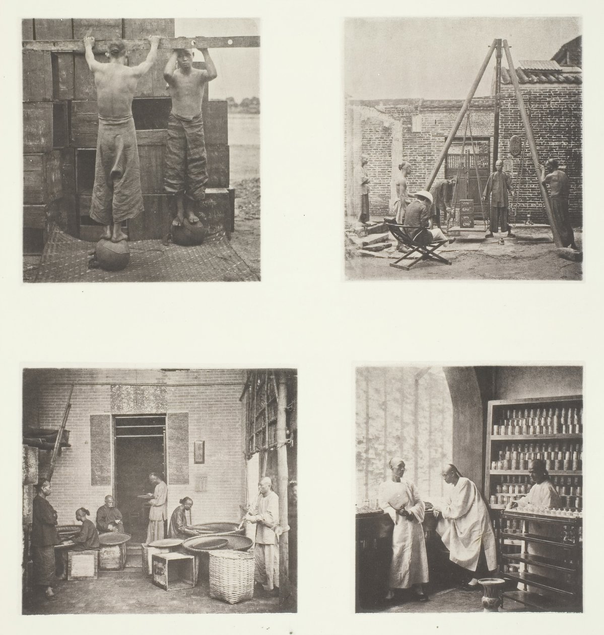 Sarma Kokulu Kapari ve Barut Çayları, İhracata Yönelik Çay Tartımı, Çay Evi..., c. 1868. by John Thomson