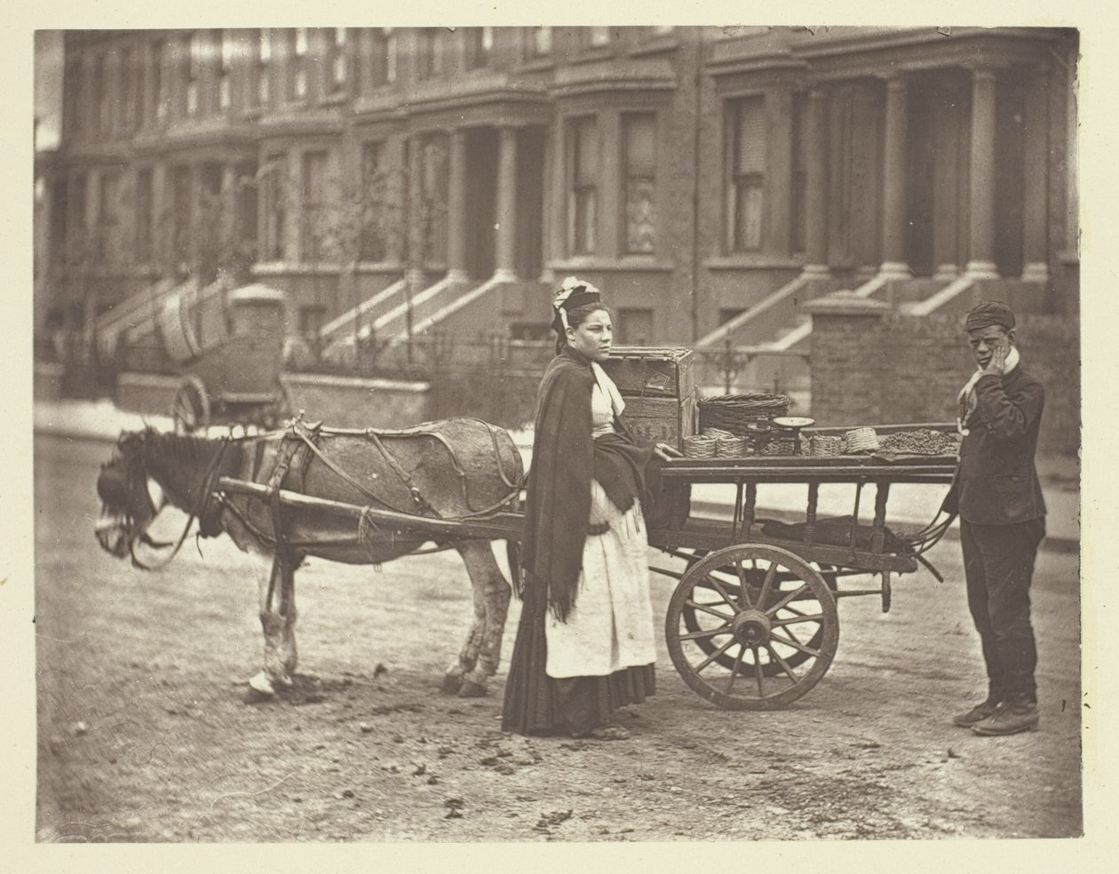 Çilekler. Hepsi Olgun! Hepsi Olgun! by John Thomson