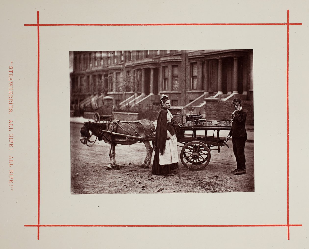 Çilekler. Hepsi olgun! Hepsi olgun!, 1877. by John Thomson