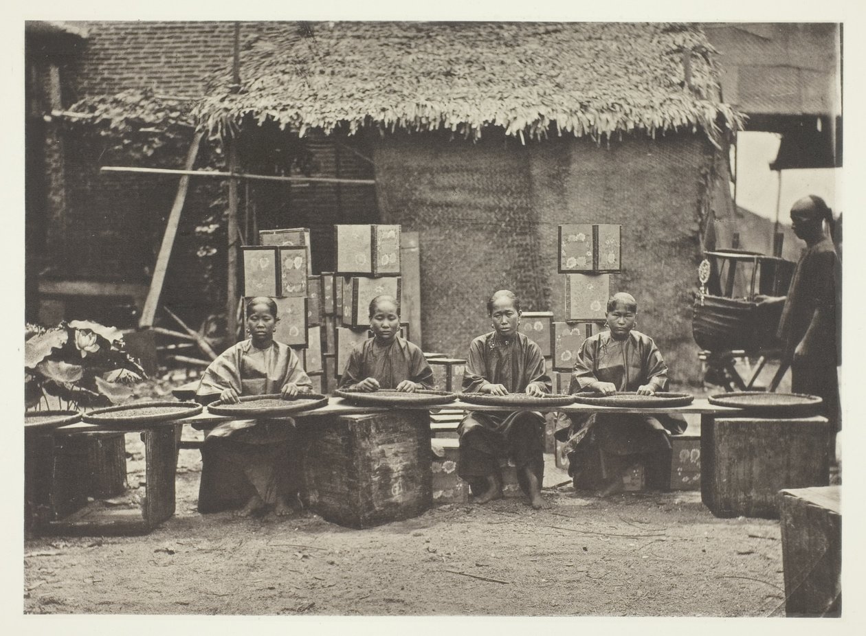  by John Thomson
