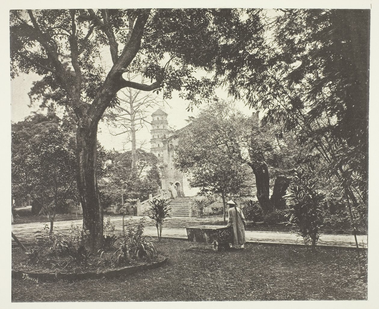 by John Thomson