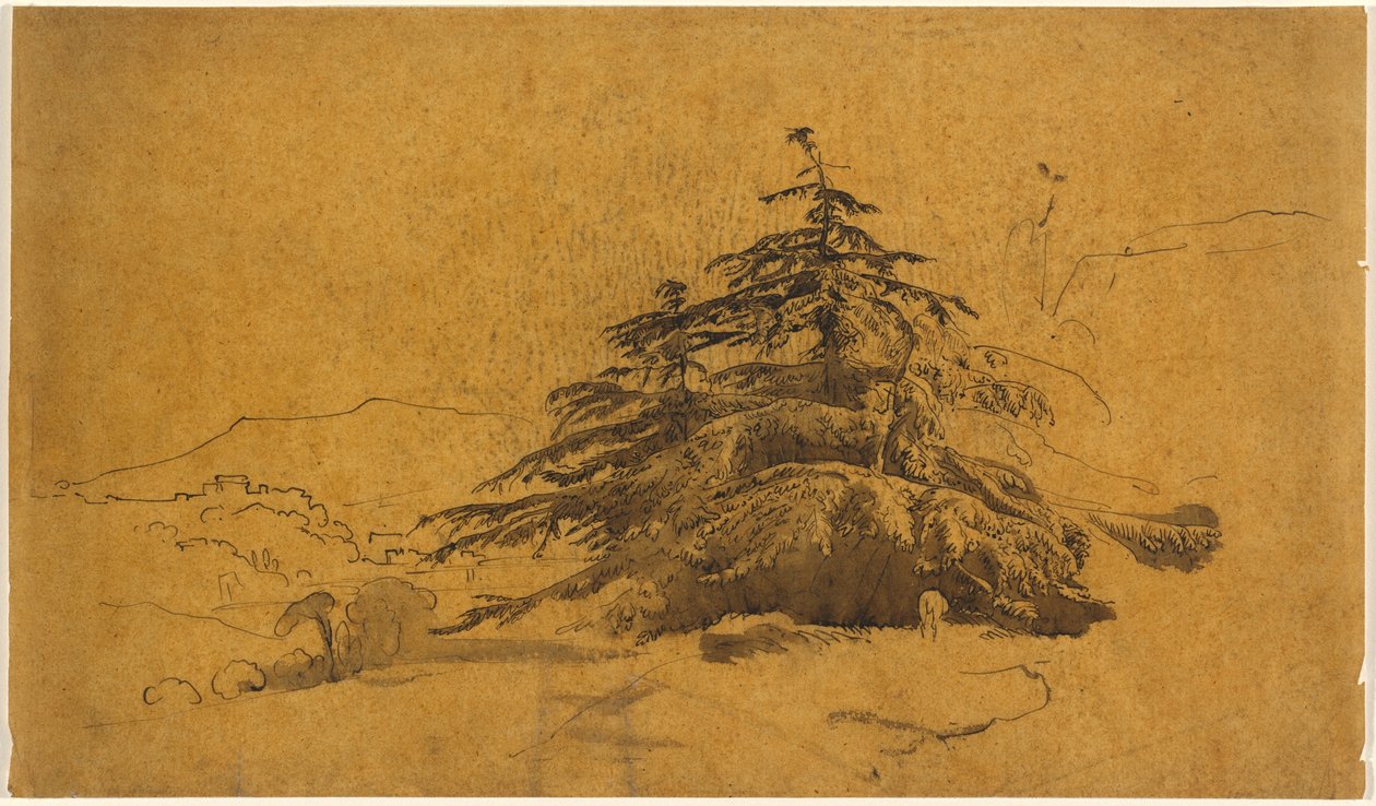Peyzajdaki Ağaçların İncelenmesi by John Varley
