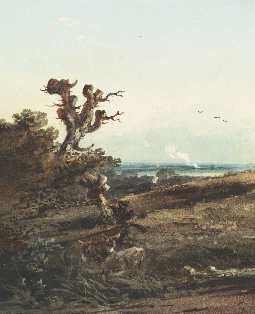 Bir Manzarada İki Eşek by John Varley
